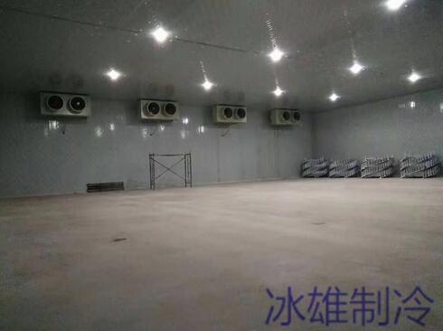 冷庫設(shè)備如何重要，改如何正確的維修呢？
